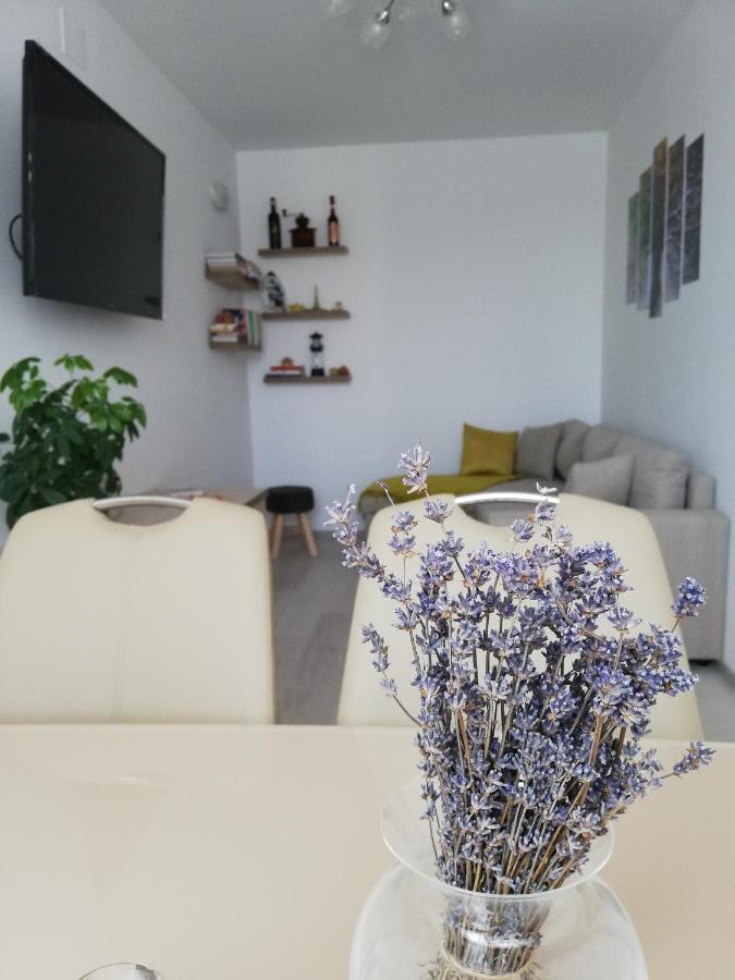 Apartament Raluca Toplita  Ngoại thất bức ảnh